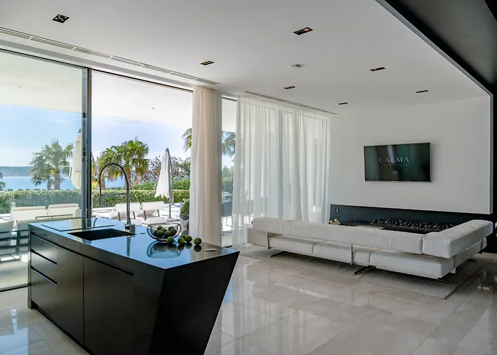 5-star Calma I With Heated Pool, Jacuzzi, Sea And Palm Tree Garden Villa Starigrad Paklenica