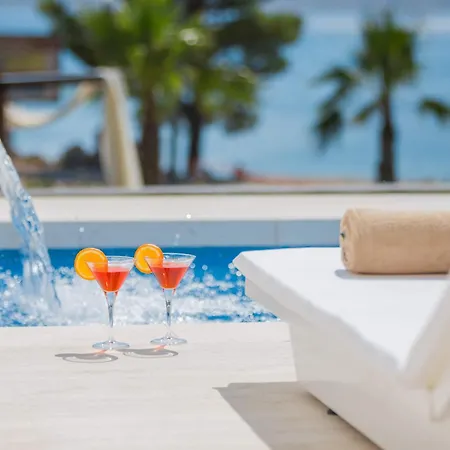 5-star Calma I With Heated Pool, Jacuzzi, Sea And Palm Tree Garden Vila Starigrad Paklenica