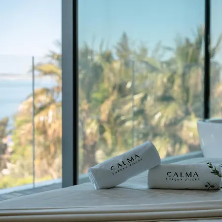 5-star Calma I With Heated Pool, Jacuzzi, Sea And Palm Tree Garden
