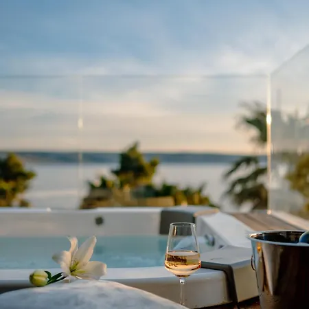 Villa 5-star Calma I With Heated Pool, Jacuzzi, Sea And Palm Tree Garden Starigrad Paklenica